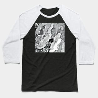 Grey Toned Floral Abstract Baseball T-Shirt